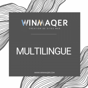 Option multilingue site web